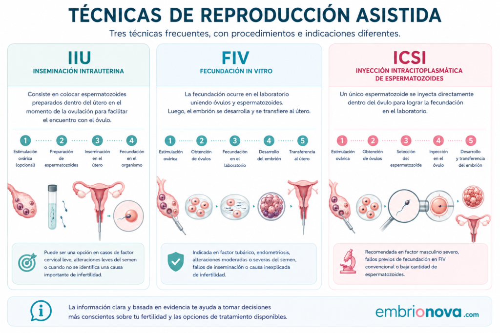 Infografía sobre IIU, FIV e ICSI, principales técnicas de reproducción asistida