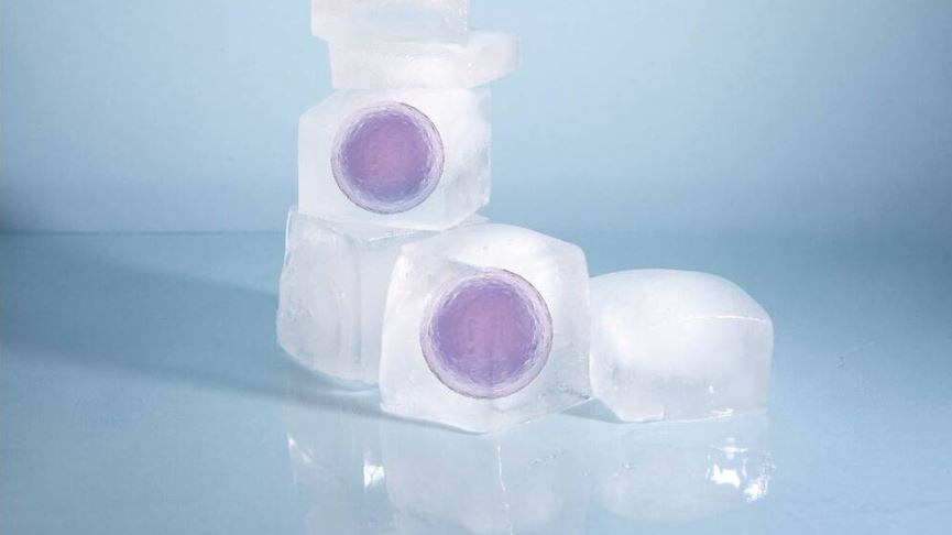 ¿Cuánto tiempo pueden estar congelados los óvulos?