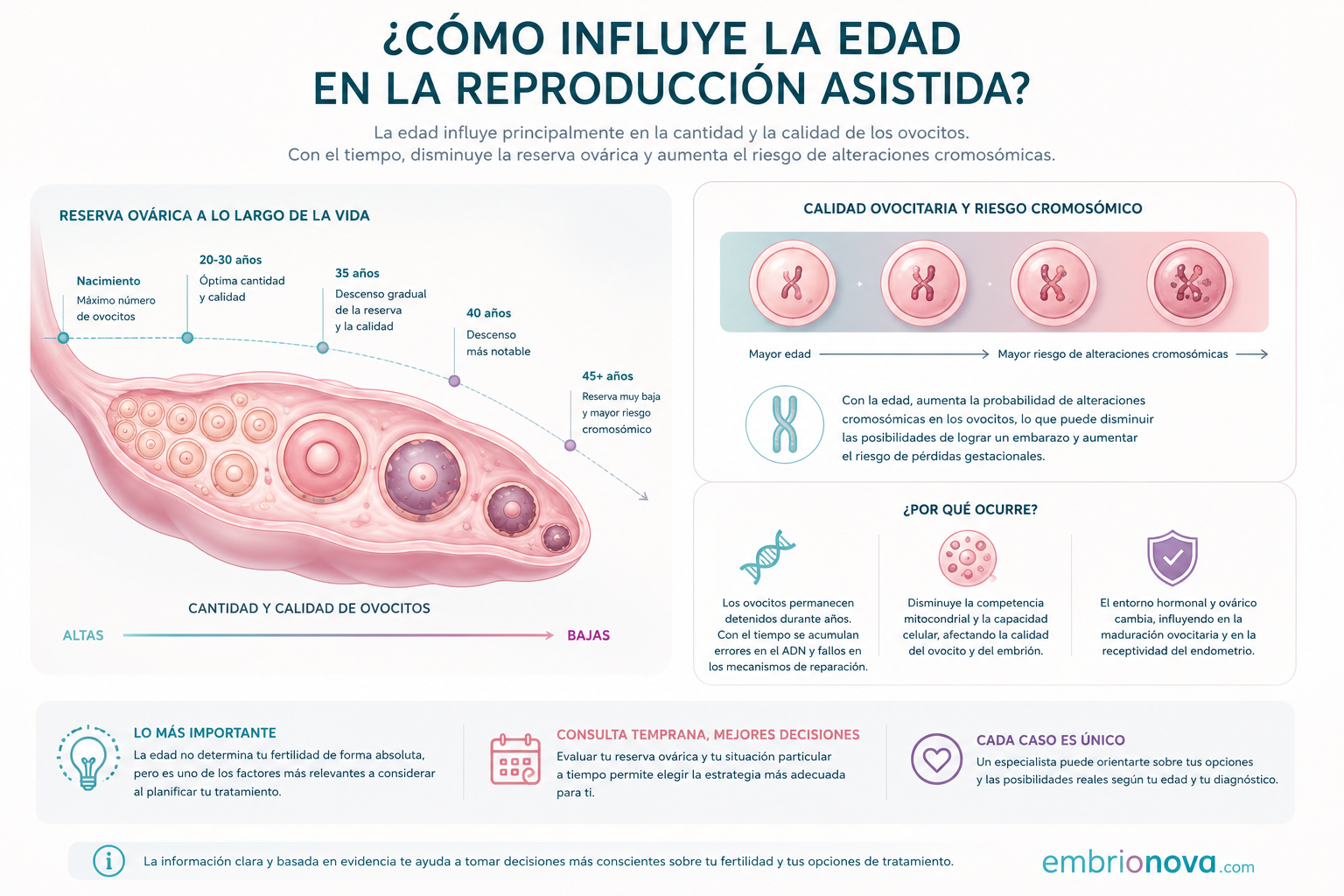 Cómo influye la edad en la reproducción asistida: reserva ovárica y calidad de los ovocitos