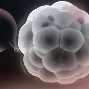 genetica y reproduccion